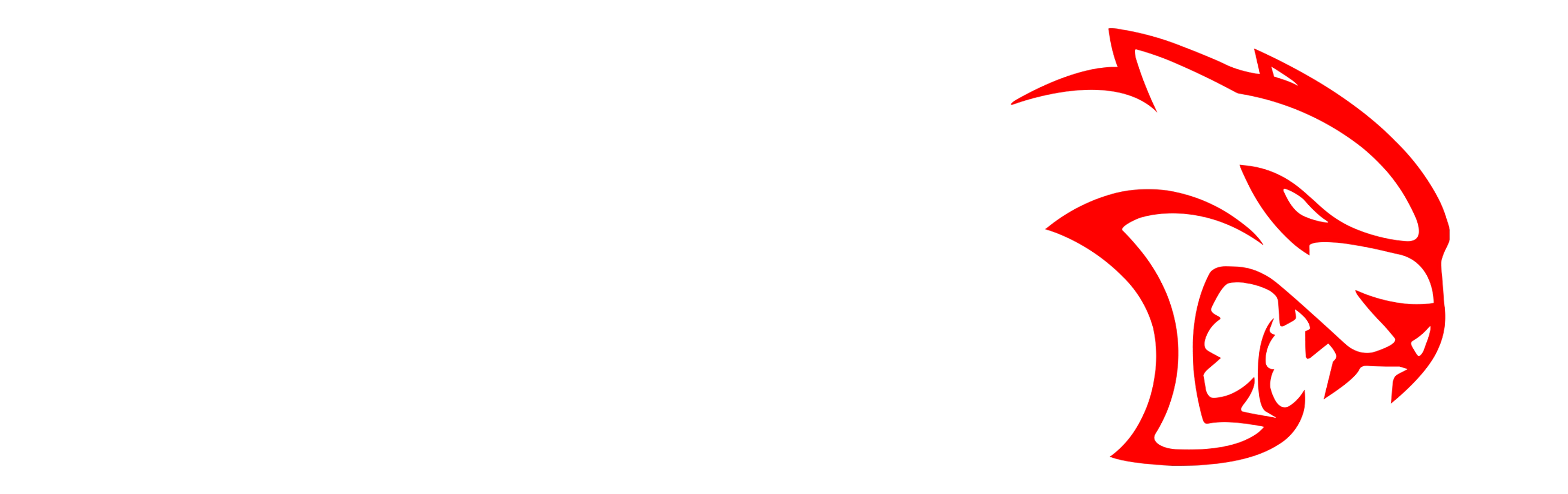 Srt Logo